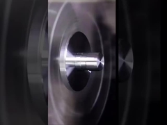 المعالجة الحاسوبية للبرامج الحاسوبية السوداء المزودة بالأنوديزة